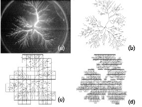 Fig.2