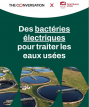 Grégory Bataillou a publié un article sur The...